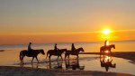 cedar-island-ranch-horseback-riding