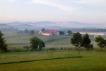 farm-fog-pic